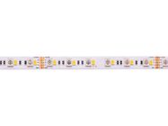 LED lenta, 24V, 19,2 W/m, ūdensneizturīga IP20, RGB +CW ( 6500K ) augstas efektivitātes, PREMIUM AKTO