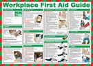 POSTER, WORKPLACE FIRST AID GUIDE
