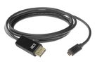 USB-C to DisplayPort adapter cable - 4K @ 60 Hz - 2 m