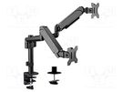 Monitor holder; 9kg; 17÷32"; Arm len: 533mm; for two monitors GEMBIRD