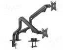Monitor holder; 8kg; 17÷32"; Arm len: 515mm; for two monitors GEMBIRD