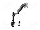 Monitor holder; 9kg; 17÷32"; Arm len: 533mm; for one monitor GEMBIRD
