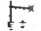 Monitor holder; 9kg; 17÷32"; Arm len: 441mm; for one monitor GEMBIRD