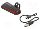 Torch: LED bike torch; 2.5h; 20lm; IPX4; RED LINE 2.0 MACTRONIC