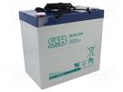 Re-battery: acid-lead; 12V; 55Ah; AGM; maintenance-free SSB