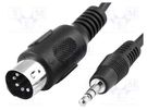 Cable; DIN 5pin plug,Jack 3.5mm plug; 1.2m; black BQ CABLE