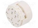 Connector: M23; contact insert; PIN: 12; male; for cable; 8A; 200V HUMMEL