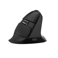 Wireless Vertical Mouse Delux M618Mini BT+2.4G RGB 4000DPI (Iron Gray), Delux