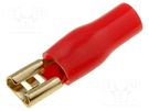 Terminal: flat; 4.8mm; gold-plated; insulated; red; female ACV