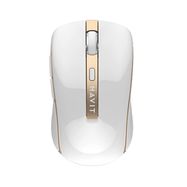 Wireless mouse  Havit MS951GT (white), Havit