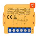 Smart socket switch ZigBee Avatto ZDMS16-2 TUYA, Avatto