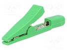 Crocodile clip; 5A; 70VDC; green; Overall len: 42mm ELECTRO-PJP