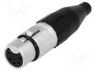 Plug; XLR; female; PIN: 5; straight; for cable; soldering; tinned AMPHENOL