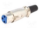 Plug; XLR; female; PIN: 3; straight; for cable 