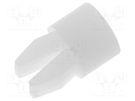 Assembly stud; polyamide; L: 4.8mm; assembly hole,snap fastener ESSENTRA
