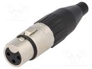 Plug; XLR; female; PIN: 3; straight; for cable; soldering; tinned AMPHENOL
