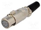 Plug; XLR; female; PIN: 7; straight; for cable NINIGI