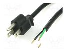 Cable; 3x18AWG; NEMA 5-15 (B) plug,wires; PVC; 2m; black; 10A; 125V LIAN DUNG