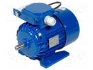 Motor: AC; 1-phase; 0.25kW; 230VAC; 1340rpm; 1.78Nm; IP54; 2.5A; arms BESEL