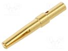 Contact; female; gold-plated; 0.33÷0.82mm2; 22AWG÷18AWG; crimped HARTING