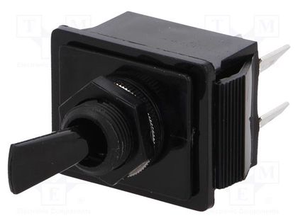 Switch: toggle; Pos: 2; DPST; ON-OFF; 16A/250VAC; 28A/28VDC; IP40 BULGIN AE-C1750HOAAA