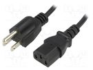 Cable; 3x18AWG; IEC C13 female,NEMA 5-15 (B) plug; PVC; 1.5m ESPE