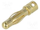 Plug; 4mm banana; 32A; non-insulated; Contacts: brass gold plated AMASS