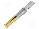Contact; female; 20; gold-plated; 0.9mm2; HDP-20; crimped TE Connectivity