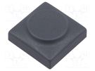 Button; rectangular; grey; polyamide; 18.3x18.3mm Marquardt