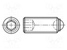 Ball latch; steel; BN 20214; Thread: M4; 6mm; Plating: black finish BOSSARD