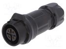 Connector: circular; plug; size 16; 02; female; PIN: 4; for latch LUTRONIC