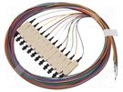 Optic fiber pigtail; OM1; SC/UPC; 2m; Optical fiber: 62.5/125um LAPP
