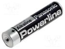 Battery: alkaline; 1.5V; AAA; non-rechargeable PANASONIC