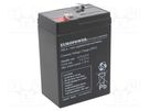 Re-battery: acid-lead; 6V; 4.5Ah; AGM; maintenance-free; EP EUROPOWER