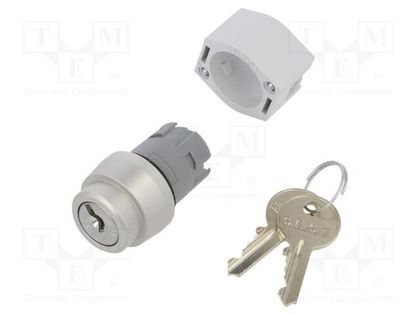 Switch: rotary with key; 22mm; Stabl.pos: 2; silver; none; IP65 EAO 704.122.0