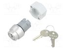 Switch: rotary with key; 22mm; Stabl.pos: 3; silver; none; IP65 EAO
