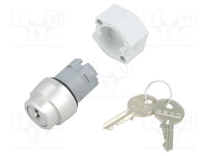 Switch: rotary with key; 22mm; Stabl.pos: 3; silver; none; IP65 EAO 704.113.0