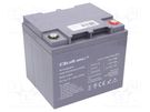 Re-battery: acid-lead; 12V; 45Ah; AGM; maintenance-free QOLTEC