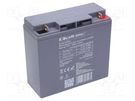 Re-battery: acid-lead; 12V; 18Ah; AGM; maintenance-free QOLTEC