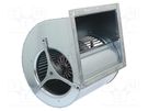 Fan: AC; blower; 230VAC; 387x304x332mm; 3700m3/h; ball bearing EBM-PAPST