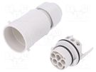 Connector: AC supply; screw terminal; male; 9÷12mm; 1÷2.5mm2; 16A AAG STUCCHI