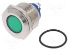 Indicator: LED; flat; green; 24VDC; 24VAC; Ø22mm; screw; brass NINIGI