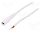Cable; 1x1mm2; wires,DC 5,5/2,1 socket; straight; white; 1.5m BQ CABLE
