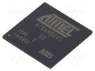 IC: ARM microprocessor; ARM926; 0.9÷1.1VDC; SMD; TFBGA324; PWM: 4 MICROCHIP TECHNOLOGY