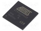 IC: ARM microprocessor; ARM926; 0.9÷1.1VDC; SMD; LFBGA217; PWM: 4 MICROCHIP TECHNOLOGY