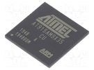 IC: ARM microprocessor; ARM926; 0.9÷1.1VDC; SMD; LFBGA217; PWM: 4 MICROCHIP TECHNOLOGY