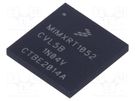 IC: ARM microprocessor; 512kBSRAM; MAPBGA196 NXP