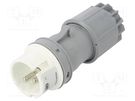Connector: AC supply; plug; male; 32A; 42VAC; IEC 60309; IP44; PIN: 2 PCE