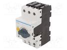 Motor breaker; 4kW; 230VAC; for DIN rail mounting; 6.3÷10A; IP20 HAGER
