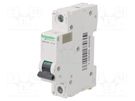 Circuit breaker; 500VDC; Inom: 1A; Poles: 1; for DIN rail mounting SCHNEIDER ELECTRIC